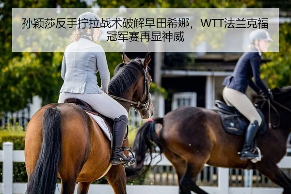 孙颖莎反手拧拉战术破解早田希娜，WTT法兰克福冠军赛再显神威